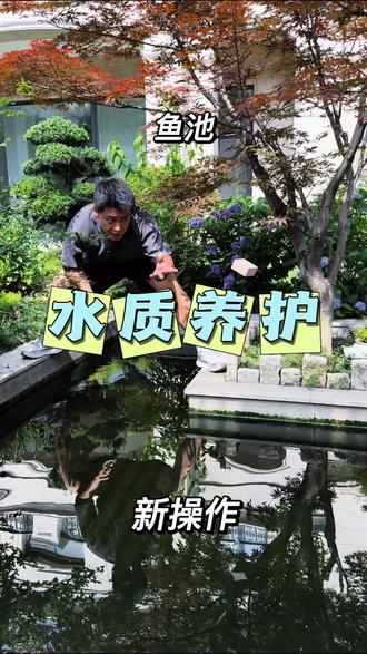 鱼池简单养水 #鱼池水质净化 #鱼池水质不好怎么办
放个小方块,继续简单养护水质
#锦鲤 #锦鲤的饲养方法 #锦鲤怎么养才能养好
@DOU+小助手 @DOU+上热门 @抖音小助手 @抖音作者助手