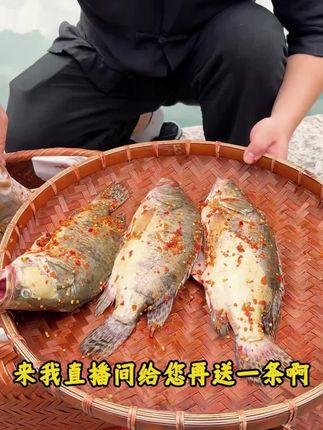 3条您都不满意,那我今天直接放大招! #宏村臭鱼 #臭鳜鱼 #吃鱼 #宏村