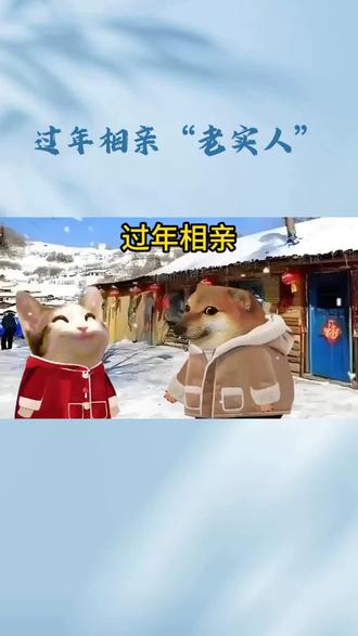 过年相亲碰上老实…
