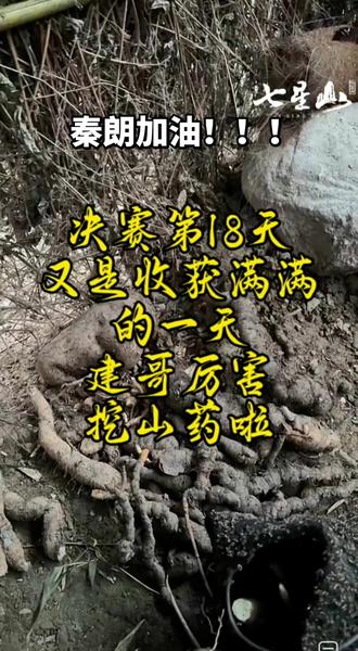 又是收获满满的一天,建哥太厉害了@荒野建哥 感谢朗子哥极限冲刺,带我们看了一会儿建哥@七星山秦朗(张家界七星山骆驼杯)
#七星山荒野求生#老六荒野 #七星山荒野求生建哥
