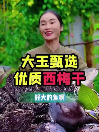 #玉凤鸣 #西梅干 #好吃到停不下来 #好吃不贵经济实惠 #广西母女
