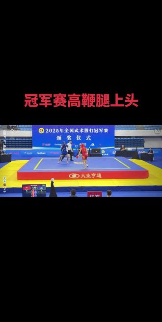 #比赛 #快来围观 #武术比赛 王尊龙高鞭腿读秒对手!!