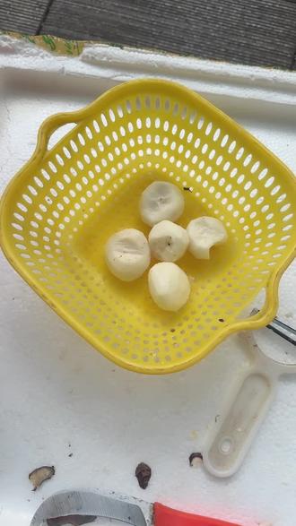 #口感特别好 #强烈推荐 🌹🌹🌹马蹄(荸荠)是一种兼具食用与药用价值的水生植物,富含膳食纤维、维生素C、钾等成分,主要功效包括清热生津、润肺化痰、促进消化、辅助调节血压和增强免疫力。其低热量、高水分的特点也适合作为健康饮食的补充。🫰🫰🫰