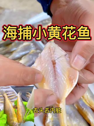 海捕小黄花鱼 #海捕小黄花鱼#黄花鱼 去头去内脏海捕小黄花,除了骨头就是蒜瓣肉,做起来省心,吃起来放心#海鲜原产地
