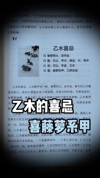 乙木喜欢什么呢。#国学文化 #易学智慧 #乙木