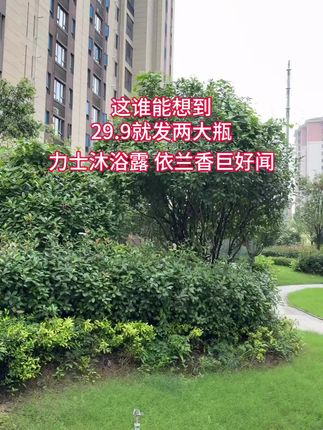 #沐浴露 #力士沐浴露 #持久留香 #洗护好物 #超便宜超划算