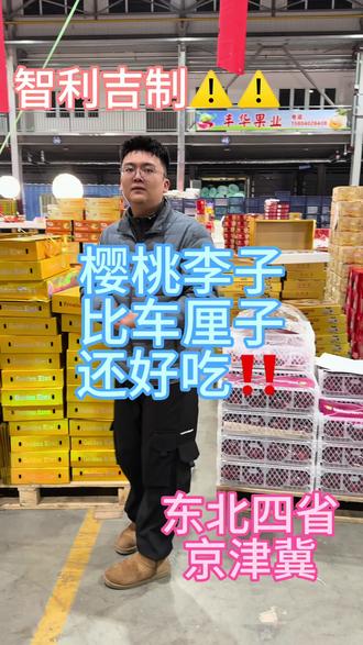 樱桃李子 比车厘子好吃 #樱桃李子 #车厘子 #车厘子自由 #水果 #东北四省