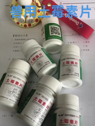 #农村养殖 #养狗的乐趣 #科学养宠攻略 #养狗小知识 #宠物狗