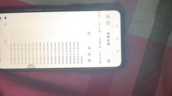 豆包是害羞的蜜蜂的英文(可以引用)#求点赞和流量 笑疯了😂😂😂