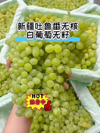 #一口掉进水果味的夏天 #葡萄熟了 #强烈推荐 #优质农产品