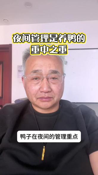 养鸭夜间管理的重要性#养鸭#肉鸭#麻鸭#肉鸭养殖#鸭