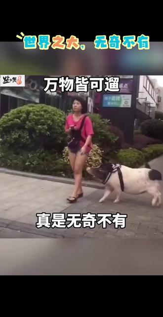 #奇葩事
世界之大,无奇不有,万物皆可遛