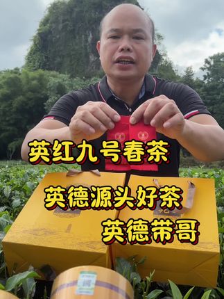 英红九号春茶#自家茶园 #英红九号英德红茶 #呼唤茶友 #原产地 #茶农茶事
