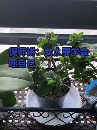 少言,少管闲事,学会旺自己#倪师大讲堂