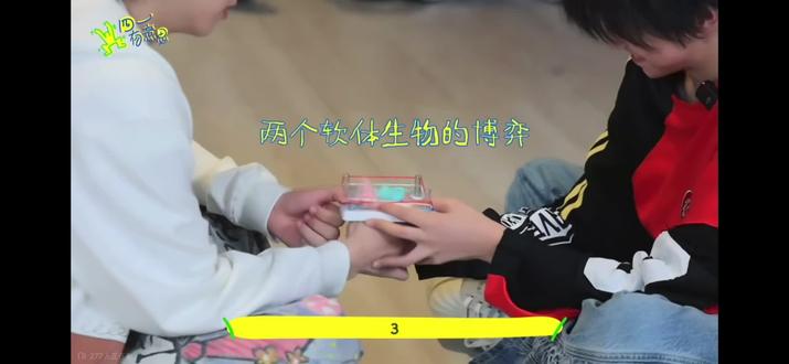 ts何意味?#零笑点#张函瑞