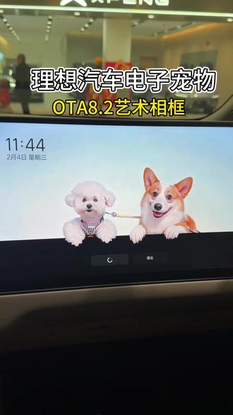 理想汽车OTA8.2宠物屏保设置教程来啦 车不止是交通工具,也可以承载感情,理想用科技把思念变成陪伴。理想OTA8.2—艺术相框,终于可以实现这个功能了~#理想汽车 #有理想的生活颜值高的车 #冷知识科普 #理想屏保