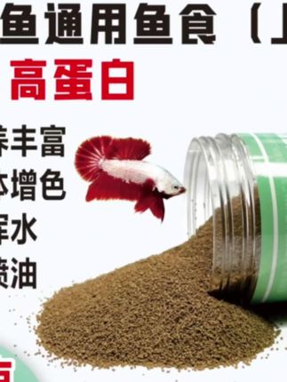 孔雀天使鱼食小型热带鱼鱼粮通用小颗粒上浮型高蛋白斗鱼金鱼饲料#鱼粮 #鱼食 #鱼饲料 #无限回购的宝藏单品