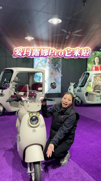 爱玛家族成员系列,露娜Por