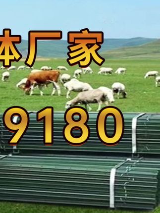 热镀锌铁丝网围栏网养鸡狗牛羊养殖网勾花网钢丝网户外防锈防护网#圈地养殖网 #养殖围栏网 #热镀锌勾花网