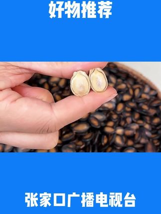 【多味西瓜子2斤】新货话梅味五香味新疆大颗粒西瓜子坚果炒货零食