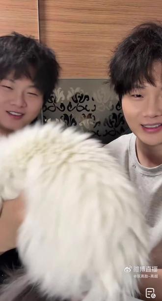 Timi版霉豆腐教程来啦!
#双高胎#高超高越#Timi#霉豆腐