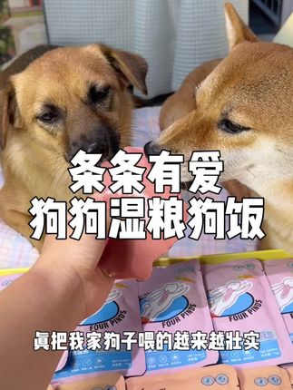 干粮吃惯了,偶尔吃吃湿粮换换口味,好吃不贵,狗狗可喜欢了!#养狗经验分享 #萌宠好物 #科学养宠攻略 #新手养狗 #狗狗挑食