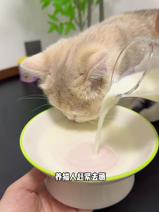 我家猫从小爱喝的羊奶粉,也出试吃装了!赶紧囤#幼猫喂养 #宠物羊奶粉 #羊奶粉推荐 #养猫新手 #萌宠好物