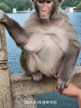 还能这样玩的吗?
