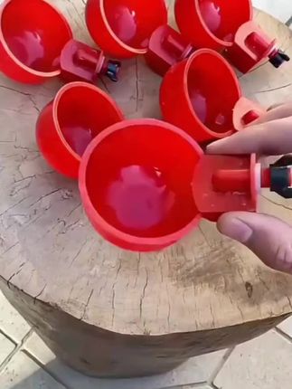 #新款家禽自动饮水器鸡鸭鹅鸽子水满自停小鸡饮水碗自动喝水装置#好物推荐#好物分享