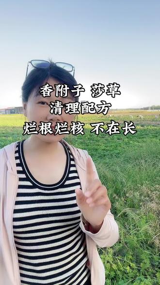 香附子莎草,到底怎么打,才能烂根烂核不在长#香附子 #香附子防除配方 #农业种植 #除香附子 #心系三农服务三农