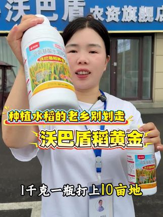 #稻黄金 #水稻种植 #水稻管理 #水稻叶面肥 沃巴盾农业厂家直销正品