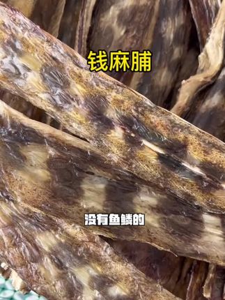 #粤品月香 #汕尾海产干货 #家乡的味道 开海第一批钱麻脯晒好了,炒芹蒜太香了#枫子卖渔