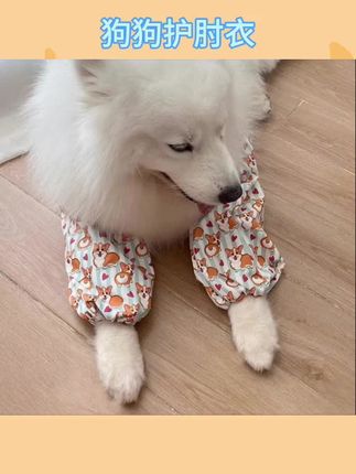 宠物中大型犬狗狗护肘防舔耐磨防脏 金毛拉布拉多边牧萨摩耶 #狗狗护肘服 #宠物护肘关节套 #宠物好物 #宠物用品 #安利