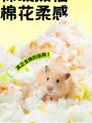 买三送一啦!一条视频说清楚和个位数纸棉的区别在哪 #倉鼠紙棉 #倉鼠過冬注意事項 #仓鼠纸棉#仓鼠窝
