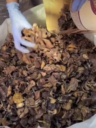 东北小片松蘑《小个松蘑》,粘团子,松蛾子,干货蘑菇小鸡炖蘑菇