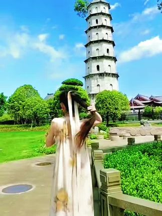 一座千年塔,一棵不老树,它们的相遇成为了永恒,创造了独特与神奇的奇迹……#历史古迹 #青云塔