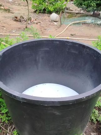 最近天气炎热是各种寄生虫高发期,严重影响狗狗皮肤健康,仅用这招轻松搞定#狗狗体外驱虫 #养狗经验分享