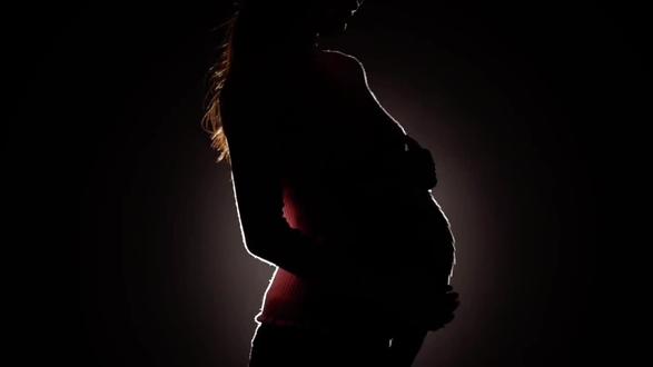 #转场 #保护野生动物 每一只穿山甲的消失,都是自然的遗憾#angelababy