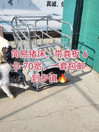 #养殖户 #三农养殖 #养猪人