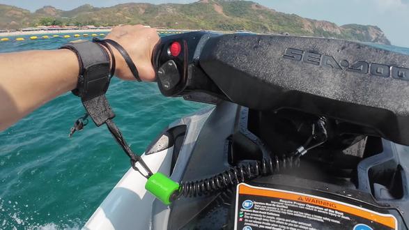 I am free (我是免费的