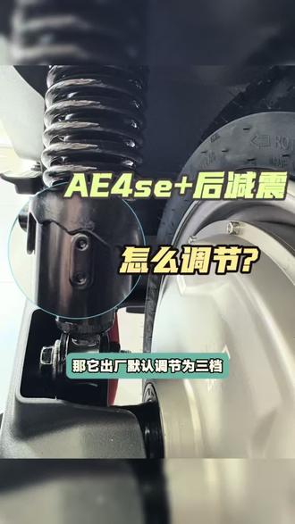 新手小白课堂之后减震怎么调🤔#极核 #zeeho极核 #骑极核真舒服 #极核ae4 #电摩