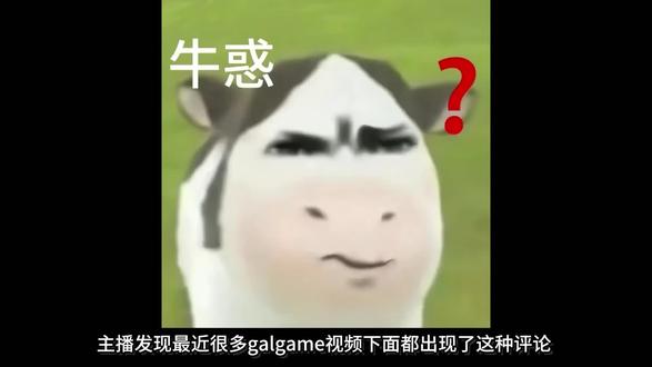辛辛苦苦给宝子们整理的gal,却没人拿😢#galgame #柚子社 #千恋万花 #梗图 #禁止废话