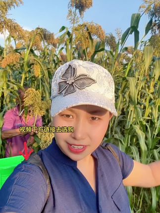 贵州茅台红 欢迎你来做客我们家的酱香酒就是用这个 红缨子高粮酿造工艺出来的,#贵州茅台酱香酒 #红樱子高粱 #茅台镇酱香酒 #贵州欢迎您来爽爽的贵阳避暑 #抖音推荐官