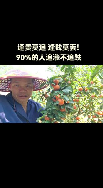 2013-2017年沙糖桔供不应求,价格很高!2018-2023年供大于求,价格跌入谷底!4年前就是2022年,我就看好沙糖桔,我还接手了玉林市一片沙糖桔果园,2023年底价真回升了,一块七八了。2024年正月就涨价到3-5块。今年2025年历史罕见的所有水果大丰收,大跌价,但沙糖桔在过年前也有1.5-2.5。现在我也看好它,所以我靖西果园继续扩种沙糖桔!富贵险中求,逢贵莫追,逢贱莫丢!大家意见不同,各有各的认知,这很正常嘛!您意见怎样?#沙糖桔苗 #沙糖桔种植#靖西果园