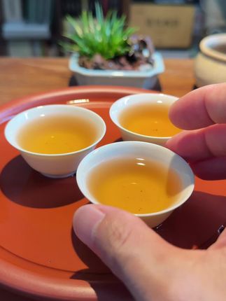 旧游无处不堪寻,无训处、唯有少年心。#生活文案 #与茶相伴的日子 #今天你喝茶了吗 #翰文堂盖碗 #翰文堂若深杯