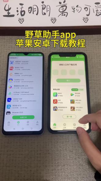 《初初资源》野草助手app苹果安卓下载教程#野草助手 #野草助手怎么下载 #野草助手手机版 #野草助手使用教程 #野草助手口令