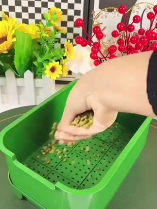 发豆芽专用盆无土栽培种植盘发豆芽育苗盘塑料培育发花生芽盆,在家发豆芽也很简单#发豆芽神器家用 #发豆芽盆 #种菜 #水培豆芽的方法 #豆芽自己发的方法