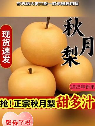山东莱阳秋月梨现摘现发孕妇脆甜多汁皮薄肉厚新鲜水果鲜甜爽口1. #好物分享 #热卖 #爆款推荐
