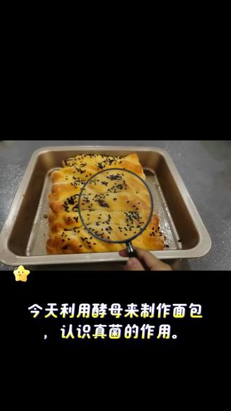 七年级小朋友的生物作业~