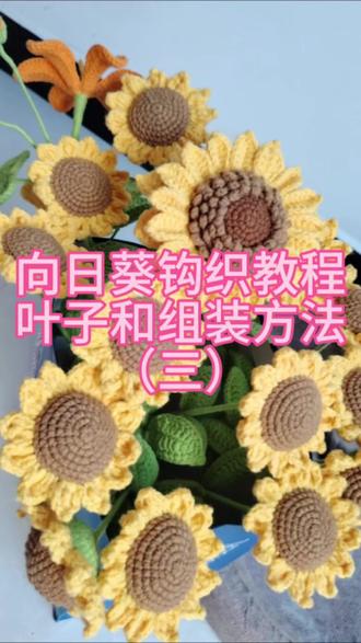 向日葵叶子+完整组装全过程 向日葵叶子+完整组装全过程
详细慢动作教学
针法清晰简单易学
学会实现花花自由啦
#手工钩织 #钩织教程 #向日葵钩织教程#一举夺魁#高考季